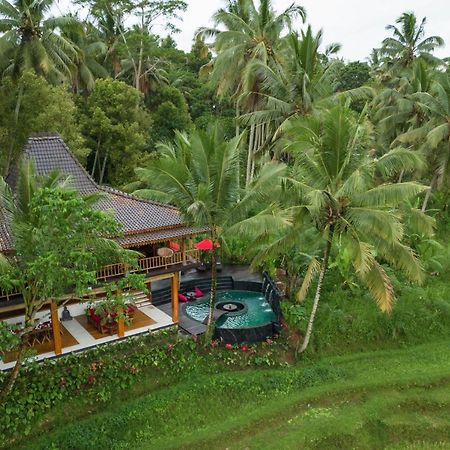 Hotel Masakali Retreat Ubud Exteriér fotografie